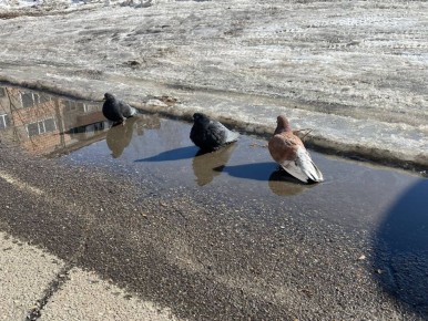 10 �����: ������� ������ � ������ ����������