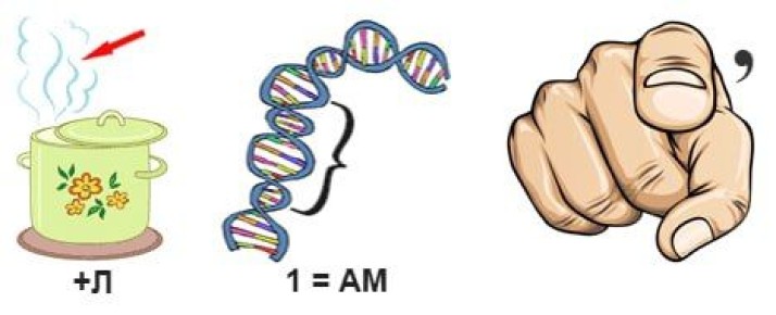 � �� ���������� ������ ����� ������� �� ���� ������� �������������� �����