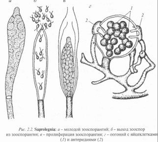 ��� ���������� � ����������: 25 ����������� ������� ��� ������ � ��������� ������