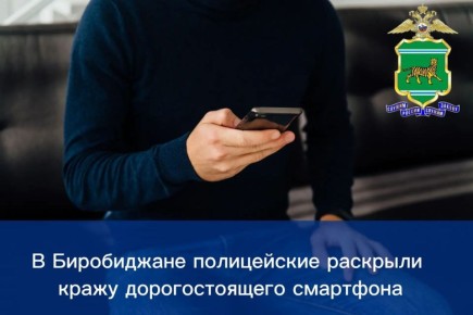 В Биробиджане полицейские раскрыли кражу дорогостоящего смартфона