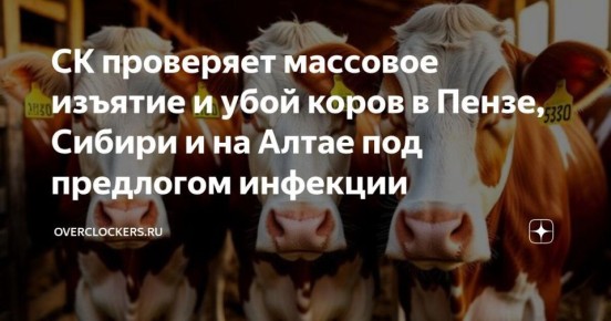 ������� ���� ����� ����� � ������, � ��������� �������������: