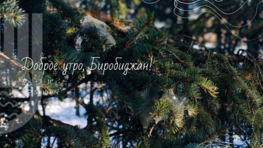 Шалом, Биробиджан!. Понедельник — слово, которое многие не любят, но именно с него начинается новая глава нашей недели