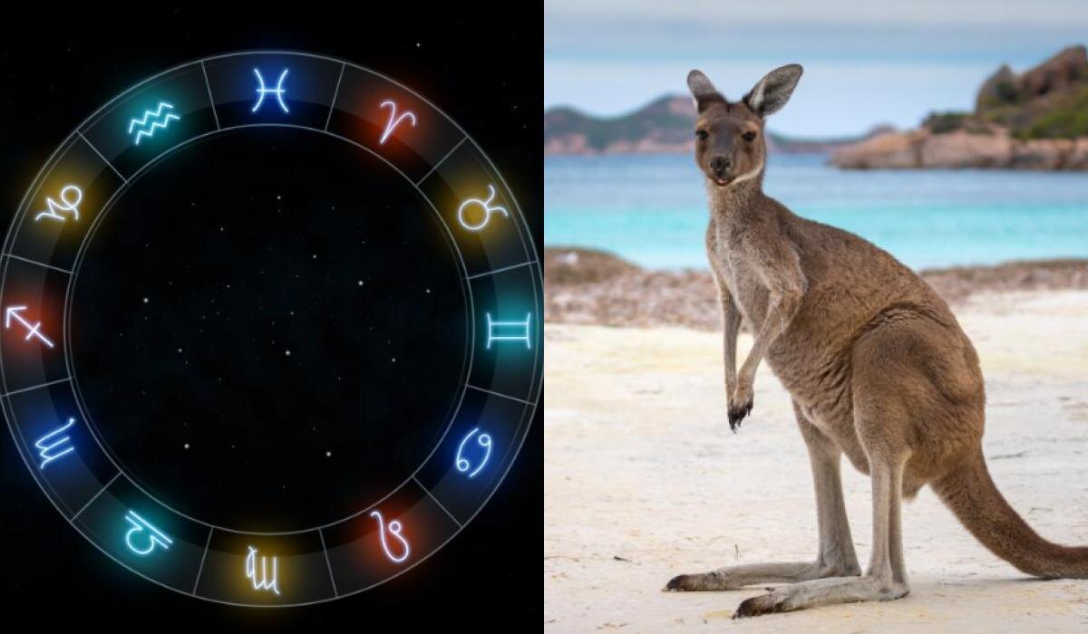 Какое дикое животное символизирует ваш знак Зодиака