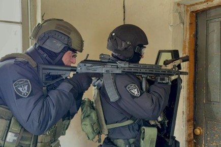 ���������� �������� ������������ �� ��������������� ����������� � ���� � �����������