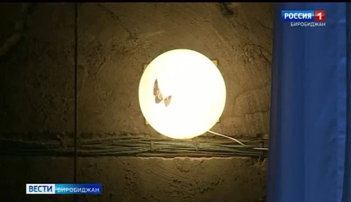 ���������� ��������� ���� ���������� ���������� ��������� � ������������ �����������