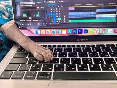 Каждый второй биробиджанец работает не по специальности