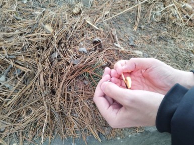 Первый в этом году природный пожар тушат пожарные в ЕАО