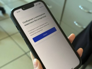 ������ ��� ������ �������� � ��������� �������� ����� "���������"