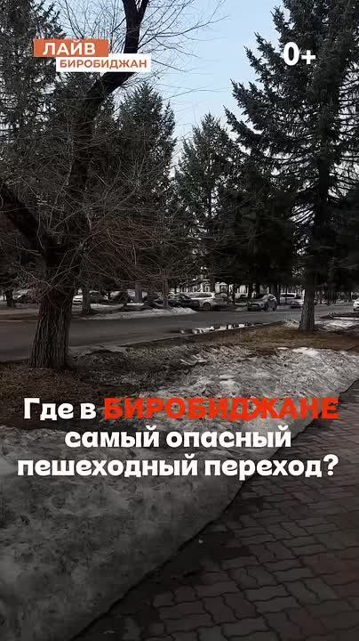 Где в Биробиджане переходить дорогу страшнее всего?