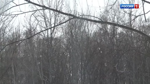 �� ������� � ������酻. ������ �������