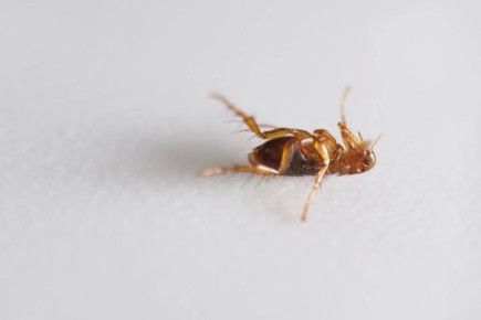 ����������� ������ ������ � ������� � ����� ����