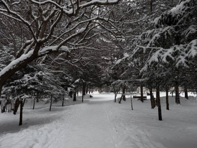 ������ ����, ���� ����� ��� �������!