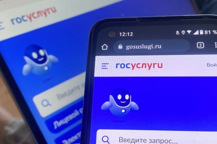 Совет Федерации упростил поиск граждан в России