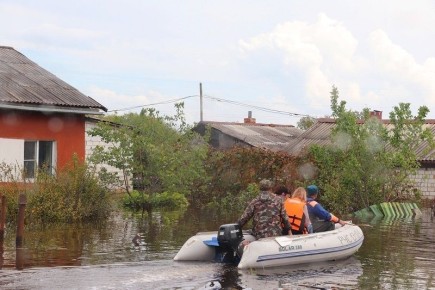 ����������� �� �������������: ��������������� ����� ��� ������������ �� ���������� � 2020 ����