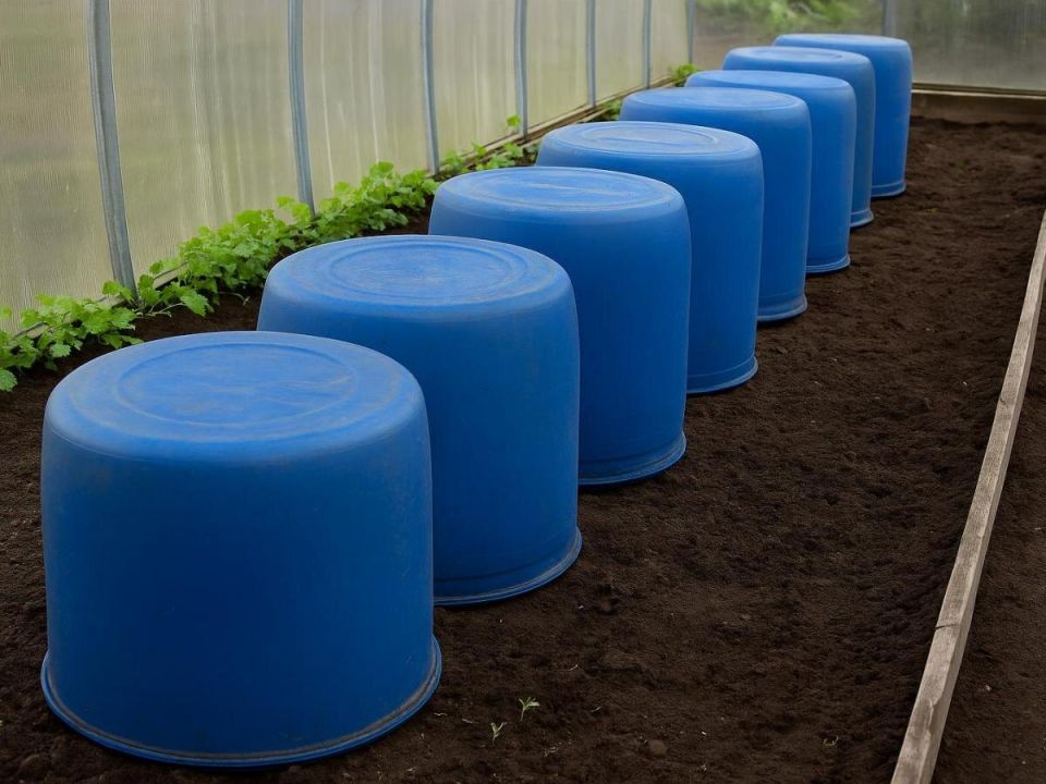 ��� ����������� ����������� ����� � ����: ������� ������� ����� ������