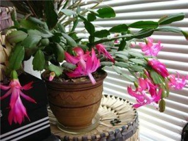 ���������: ��� ��������� � ���������� � �������� ��������