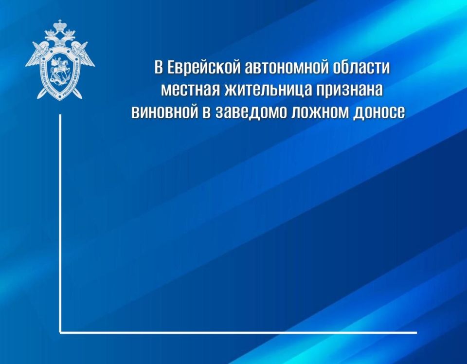 В Еврейской автономной области местная жительница признана виновной в заведомо ложном доносе