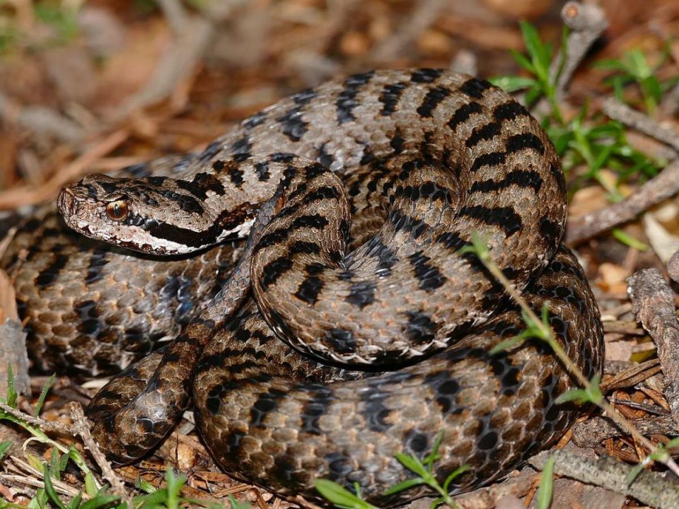 ����� � ������: ��� �������� ������ ������� �� �������� ����