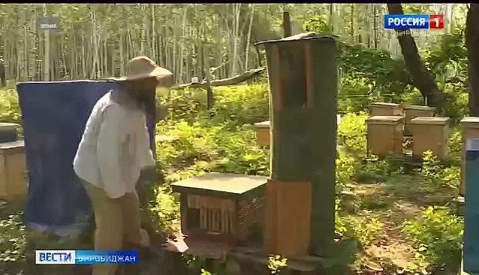 ����� ������ ������� ��������� ����� �������� ������� �������� �����