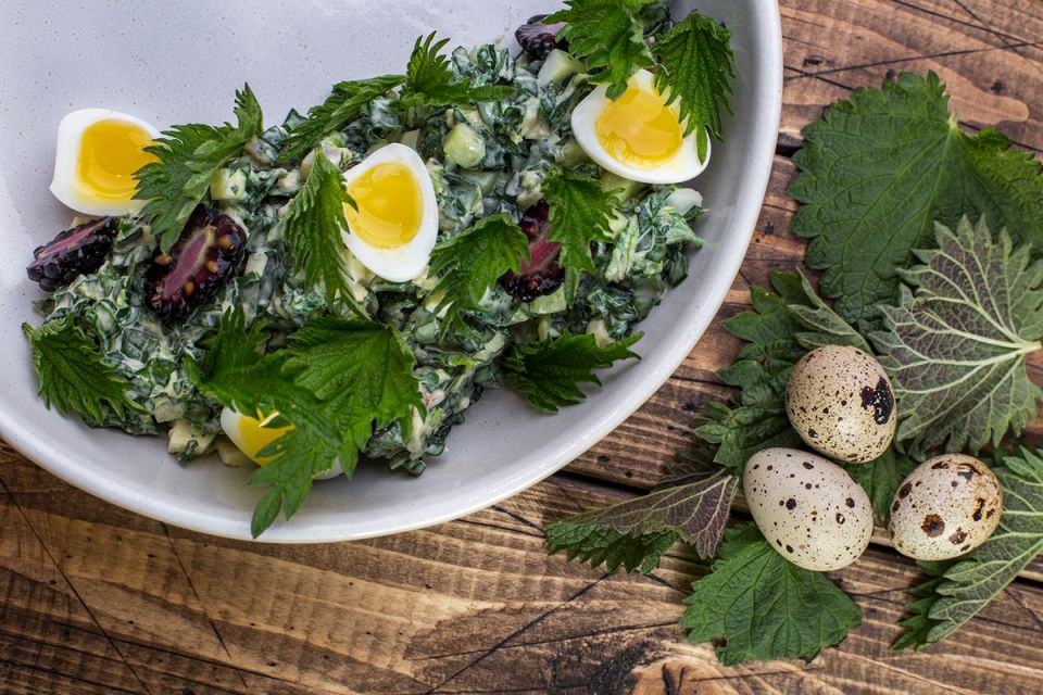 ����� � ������� ��������