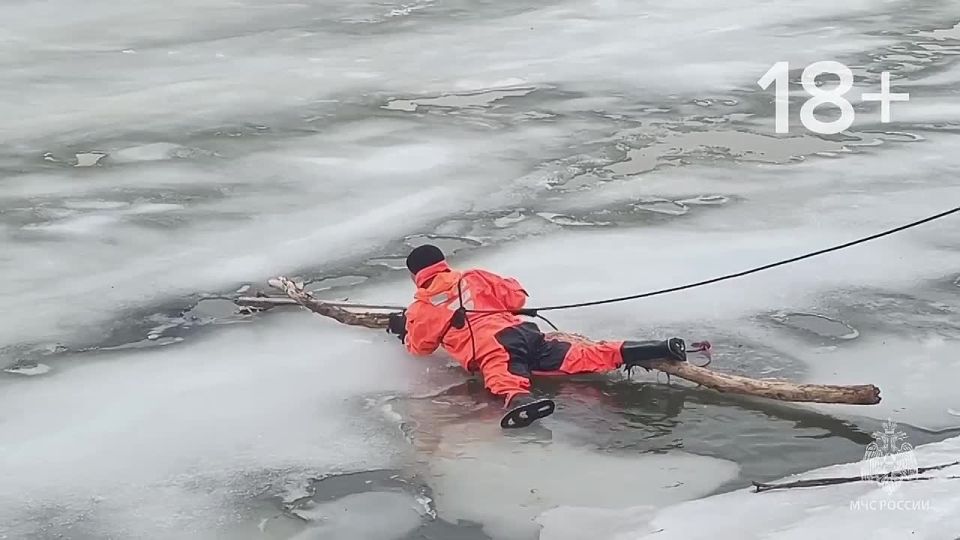 � ����������� ������� ������, ������������ ��� ��