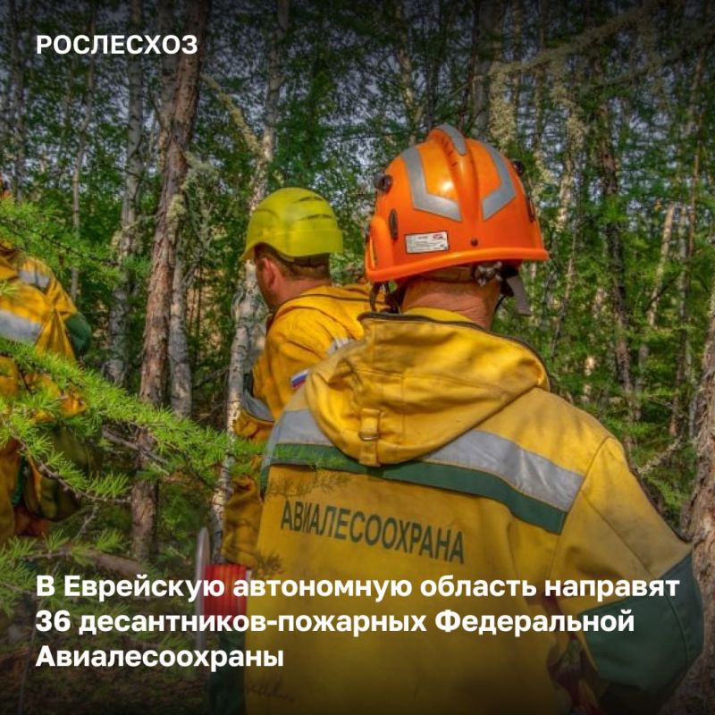 Специалисты окажут помощь в тушении лесных пожаров в Еврейской автономной области в рамках мер экстренного реагирования