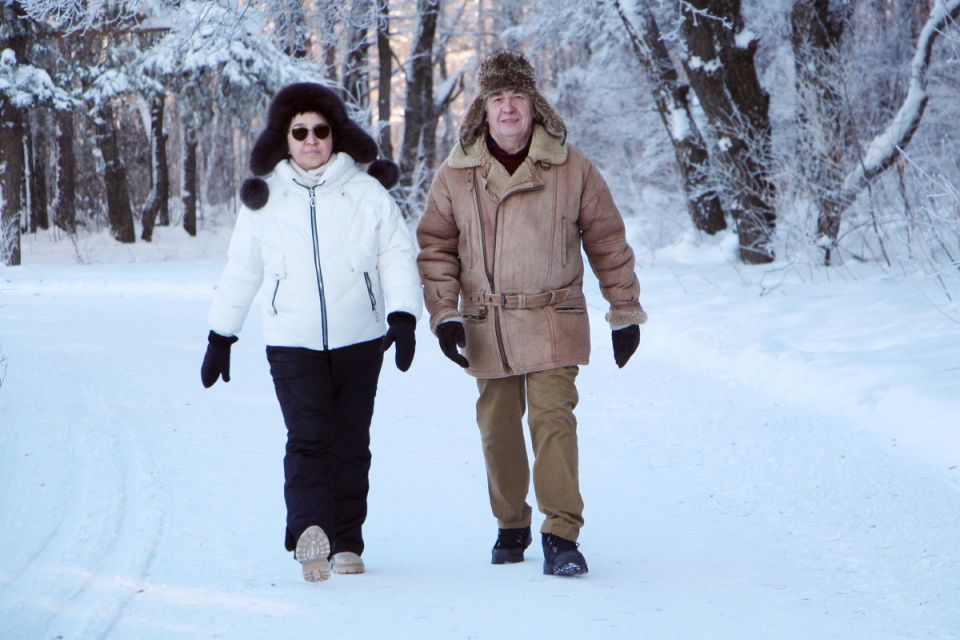 ������������ ������� ��������������: ������ � ������� ����������