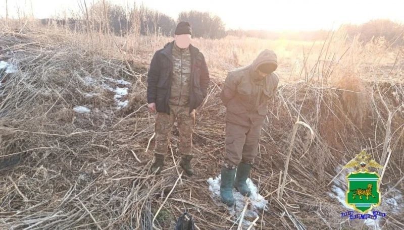 В Ленинском районе полицейские задержали двух мужчин, собиравших дикорастущую коноплю