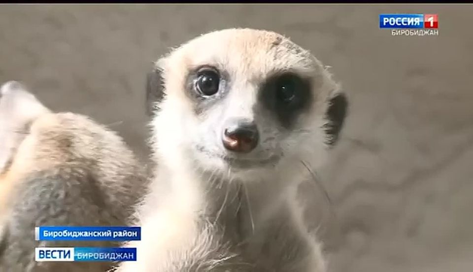 ������������ ��������� ����������� ������� �������� �� �������� � ���