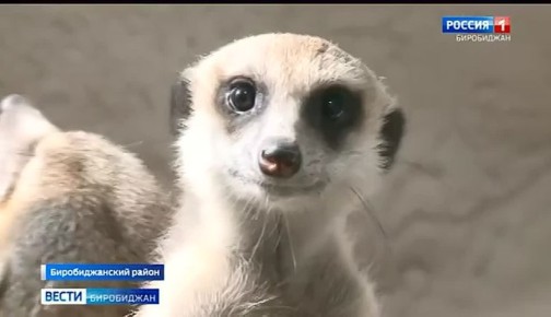 ������������ ��������� ����������� ������� �������� �� �������� � ���