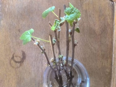 ��� ���������� ������ ��������� ������