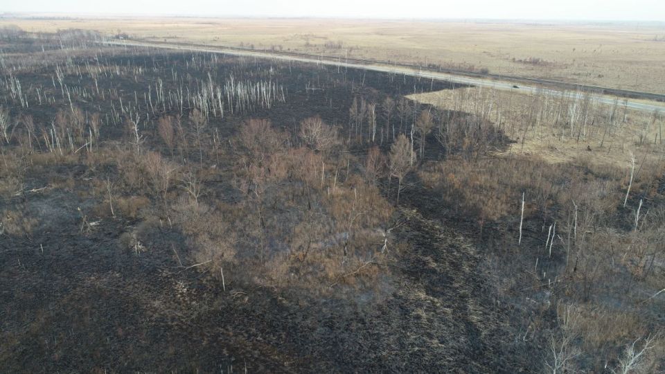 �� ���������� ��������� ���������� ������� ����� ������ ��������������� �����