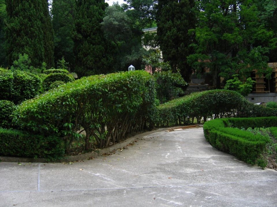 ��� ��������� �������� ����� ��������: ������� ������