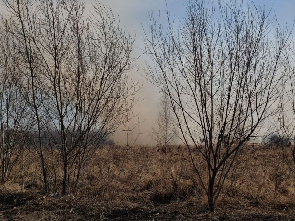 ������ ��������������� ����� ����� � ����������� � 3 ������