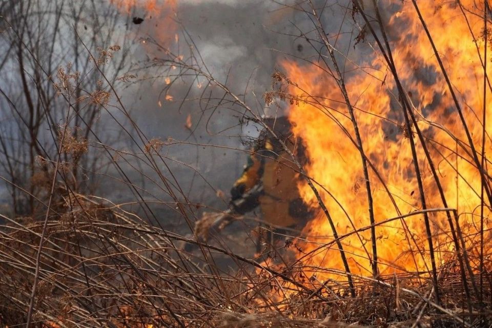 ��� ����� ���� ������ �� ������ ������� � ������