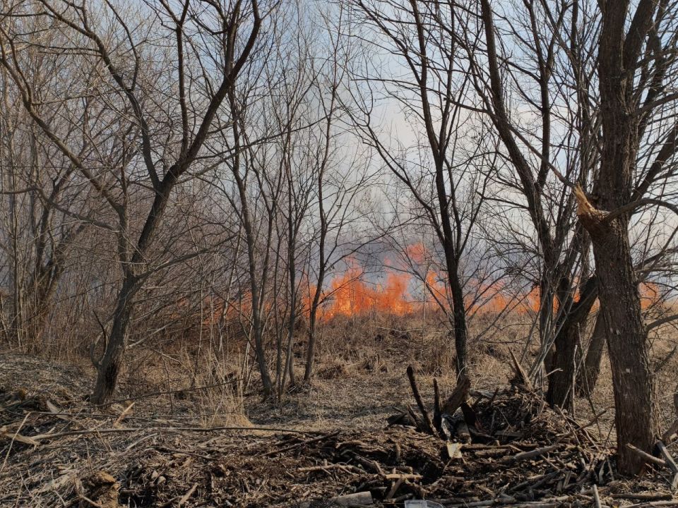 ��� ���������� �������� �������� �������?