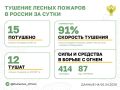 За прошедшие сутки в 7 регионах России потушили 15 лесных пожаров