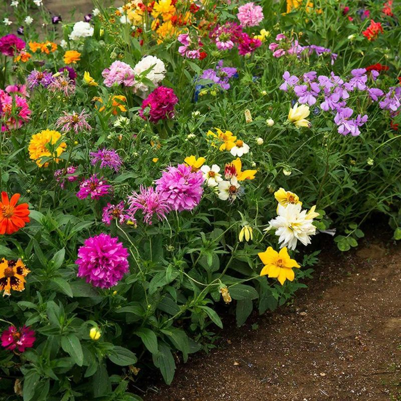 ����� ������: ���� ������ ��� �������� ���������� �� ����� �������