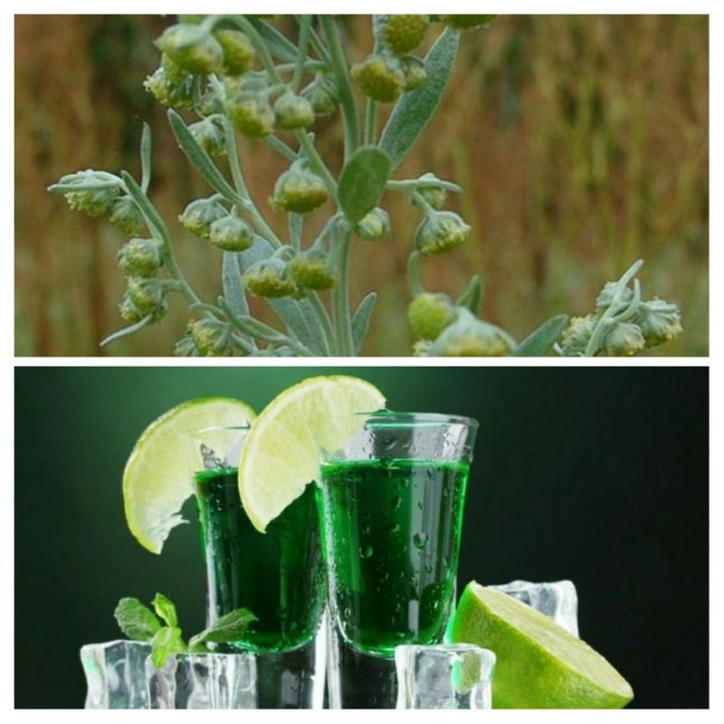 ���������� � ��� ������������� ��������: �� ������� �� �����