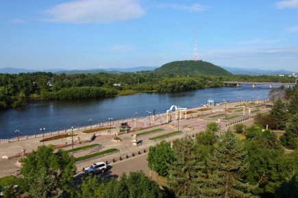 В Хабаровском крае возбуждено уголовное дело по сообщению о нападении бродячей собаки на ребенка