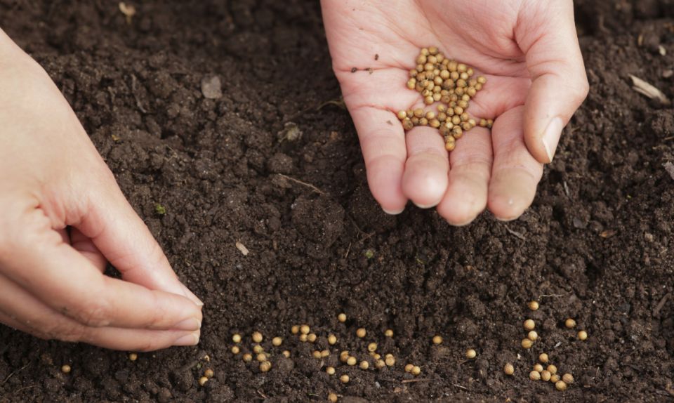 ������� ������� ���������: ��������� ����� � ����� ����