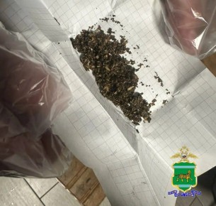 Биробиджанец перевозил наркотики в салоне автомобиля