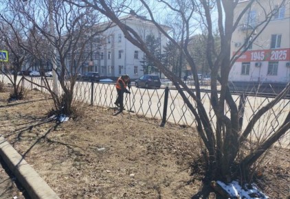 Уборка Биробиджана проходит в плановом режиме