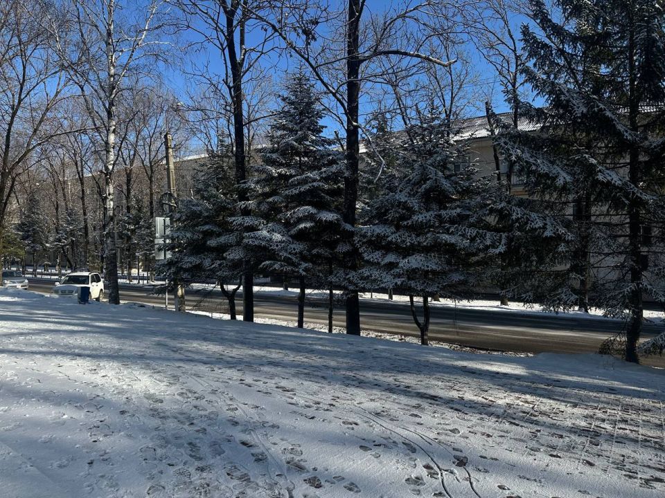 ������ ����, ���������� ���� ����������!