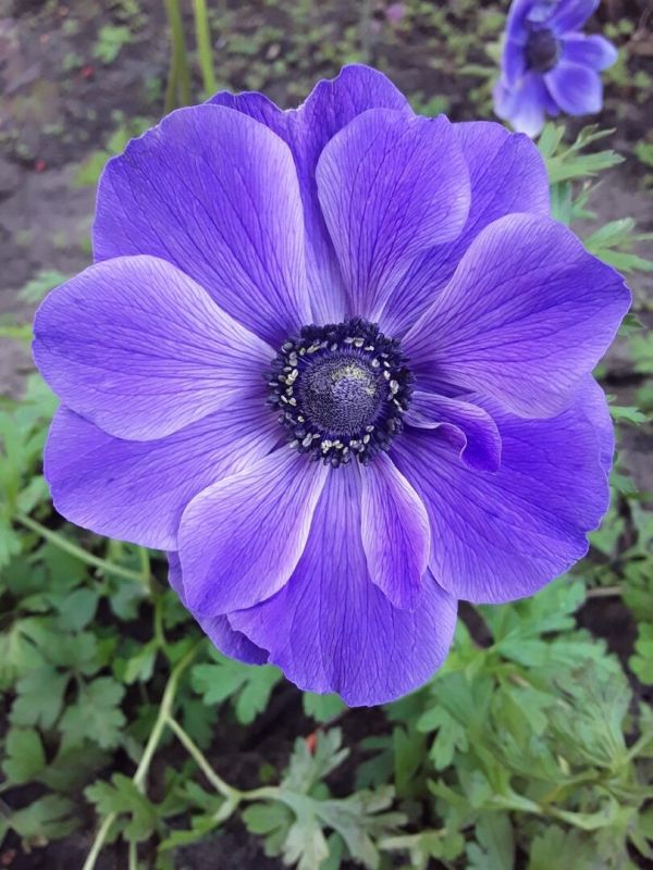 ����� � ����: ������ ������, �� ��� �������