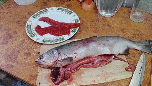 ��������� �������: ��� �������� ���� ������� � �������� ��������