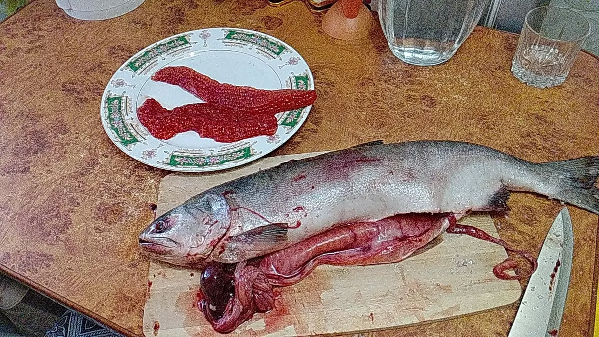 Необычная закуска: Как засолить икру горбуши в домашних условиях