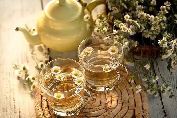 ������� ������ �������� �������