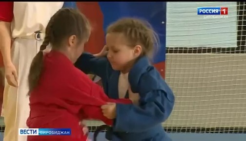 В Биробиджане прошёл областной фестиваль самбо