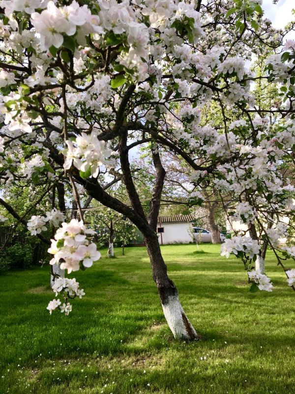 ����� ���� ������� ���: �������� ������� ��� �������� ������ �����